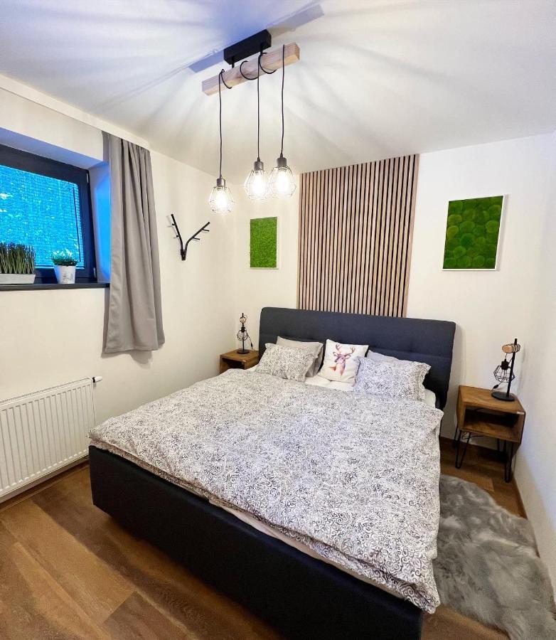 U Jelena Harrachov - Rodinny Apartman U Lesa S Garazi Ngoại thất bức ảnh